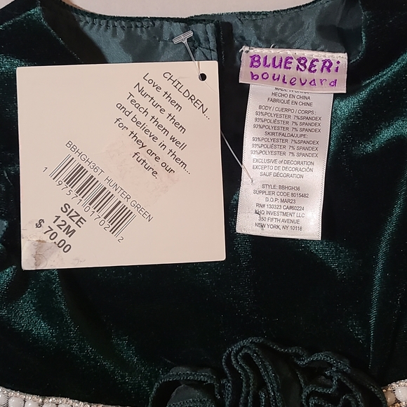Blueberi Boulevard Deep Green Velvet Dress NWT RV $70 12 Months - Picture 3 of 10
